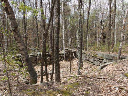 cellar foundation on Hussey Mountain in New Hampshire