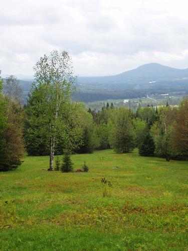 view on the way to Hutchins Mountain in New Hampshire