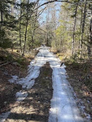 road in March at Jock Page Hill in southern NH