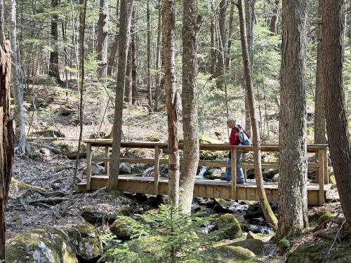 footbridge in April at John Hay NWR in southern NH