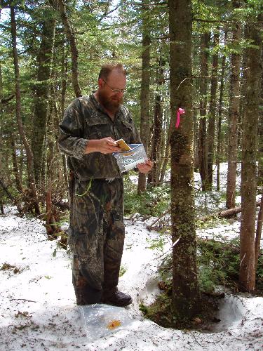 bushwhacker and canister on Mount Kancamagus in New Hampshire