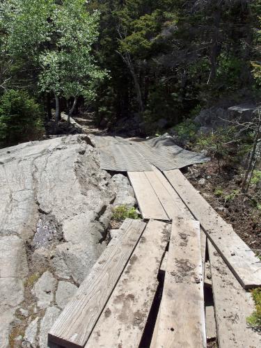 Rollins Trail on Mount Kearsarge in New Hampshire