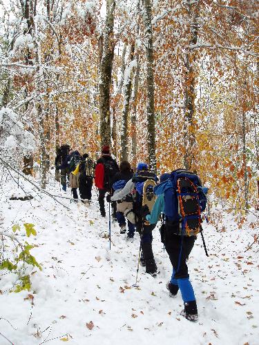 fall foliage plus early snow on the trail to Mount Lafayette in New Hampshire