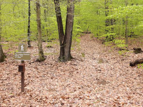 trailhead in May to The Ledges Overlook Hiking Trail in southern Vermont