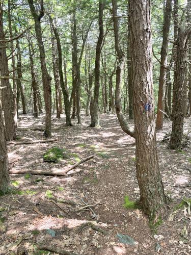 trail in August from Lenox Mountain in southwestern Massachusetts