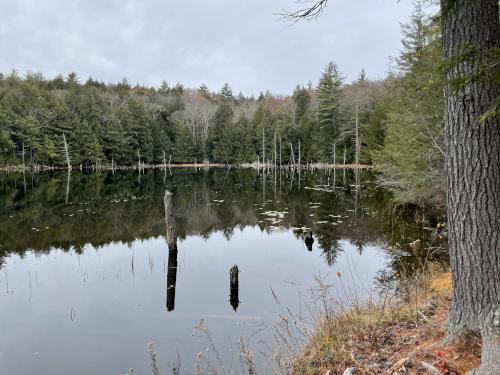 Lily Pond in November near Keene in southwest New Hampshire