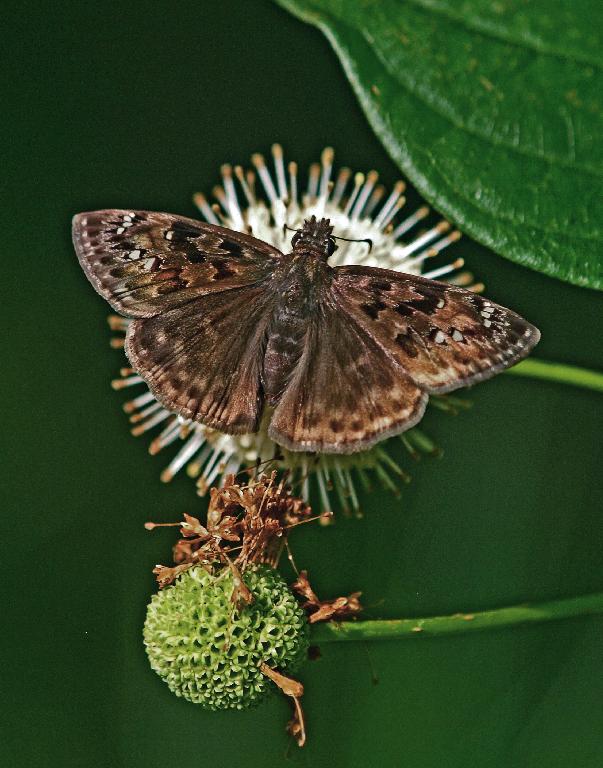 top