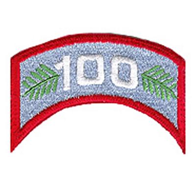 NE100 patch