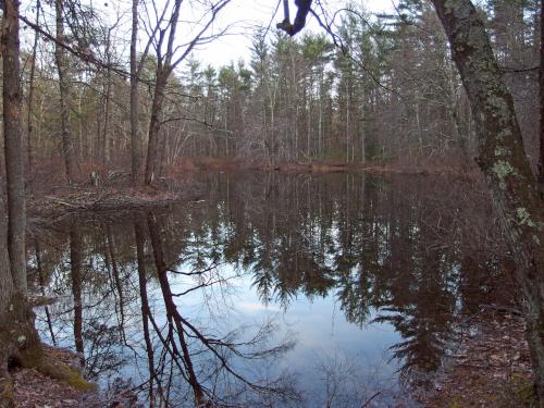 Hopping Frog Pond in April at Litchfield State Forest in southern New Hampshire