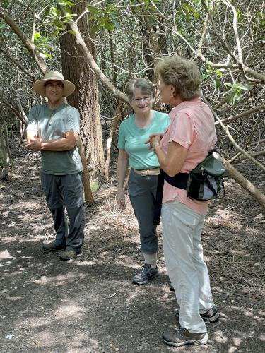 Larry, Andee and Cathy in July at Little Monadnock Mountain in New Hampshire