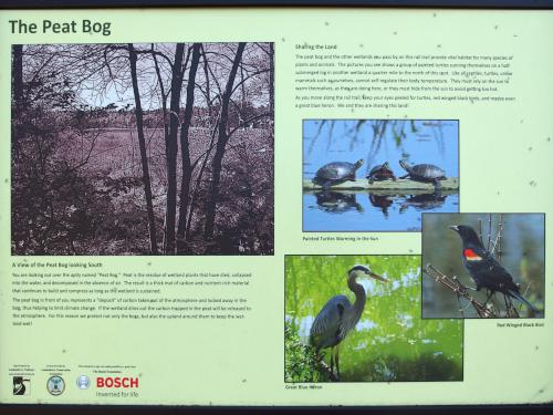 descriptive poster about The Peat Bog beside the Londonerry Rail Trail in southern New Hampshire