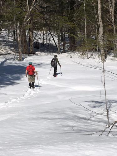 John and Dick bushwhack in April to Lyman Mountain in New Hampshire