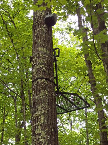 deer-hunting stand at Mary's Mountain in eastern New Hampshire