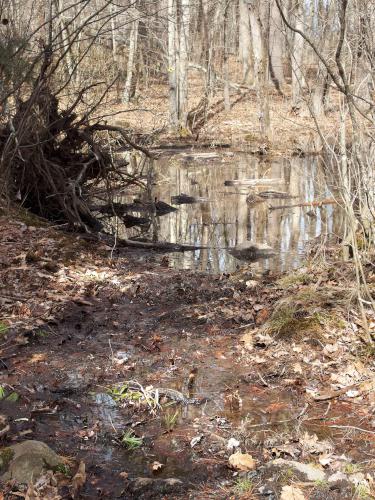 flooded trail in April on the Jay McLaren Rail Trail in northeast Massachusetts