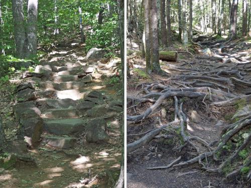 trail to Mount Megunticook in Maine