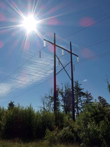 powerline swath at Melville Hill in southwest New Hampshire