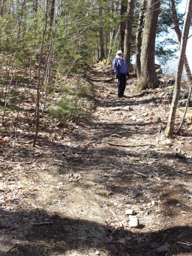 trail in April at Merrimac Town Forest near Merrimac in eastern Massachusetts