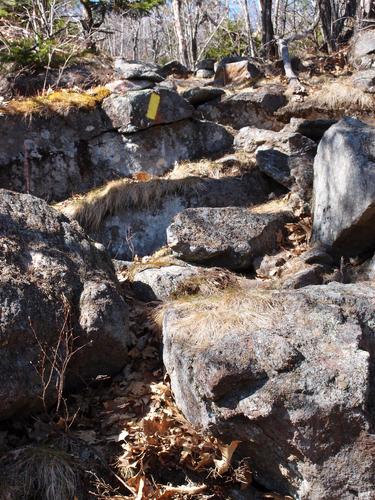 rocky trail on the way to Middle Mountain in New Hampshire