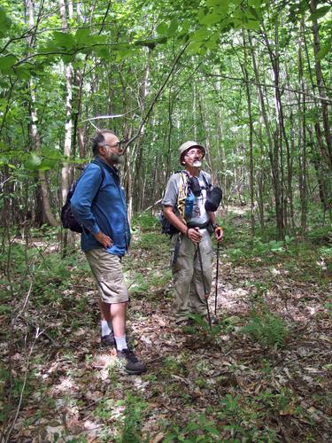 Lance and Dick in the woods on a bushwhack to Mill Mountain in norhtern New Hampshire