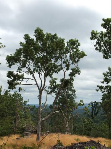 summit view on Mount Misery near Weare in southern New Hampshire