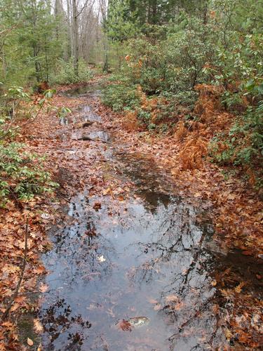 wet trail on the way to North Monoosnoc Hill at Leominster, MA