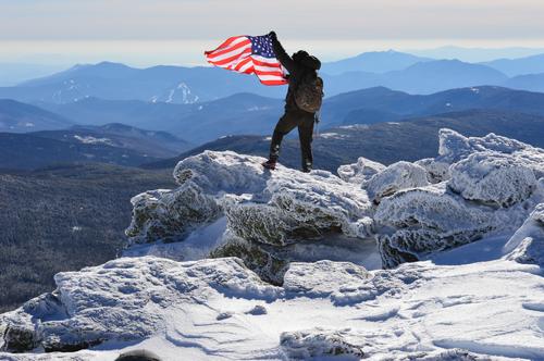 Monroe flag