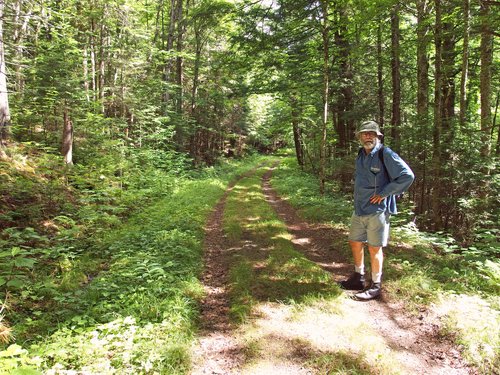 Lance on Cobble Hill Trail on the way to Moody Ledge in New Hampshire