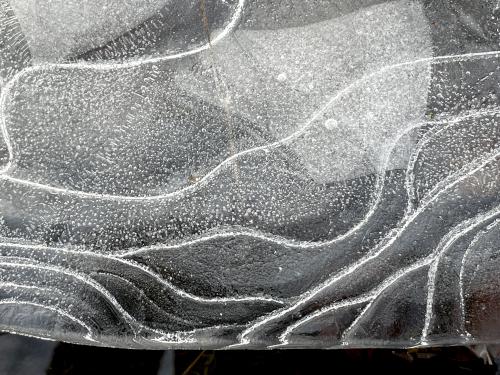 artistic ice in December beside the trail at Moose Hill in eastern Massachusetts