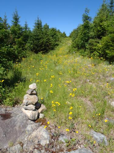 trail-marker cairn on the way to Moxie Mountain in Maine