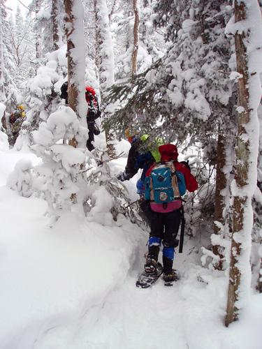 winter bushwhackers on the way to Muise Mountain in New Hampshire