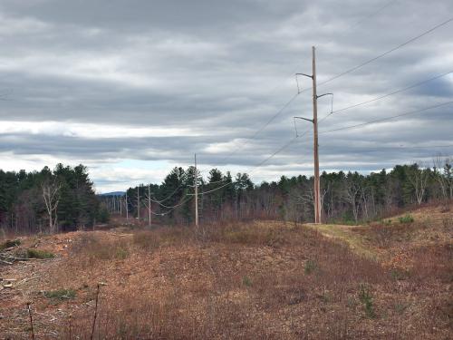 powerline swath view in April at Musquash Conservation Area in Londonderry NH