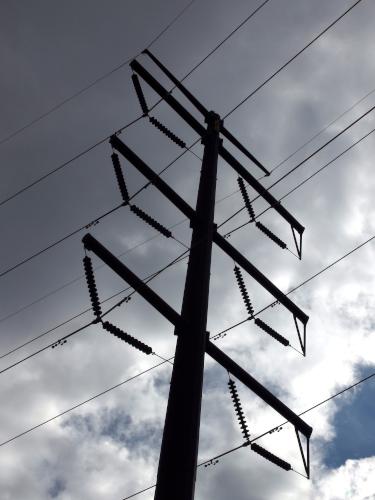 powerline pole at Musquash Conservation Area in Londonderry NH