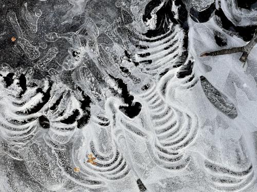 ice art in January on the trail at Nagog Hill Conservation Land in northeast MA