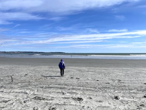 Andee walks toward the water in March at Nahant Beach in eastern MA