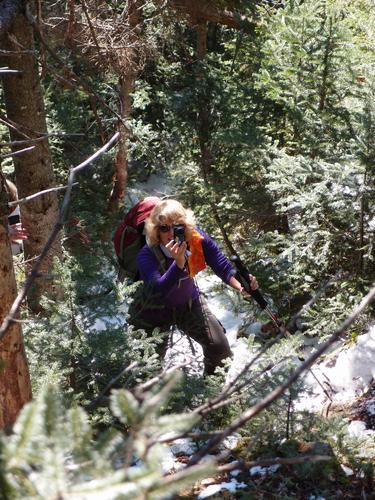 hiker on the bushwhack to Mount Nancy in New Hampshire