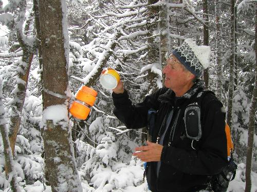 bushwhacker and canister on Mount Nancy in New Hampshire