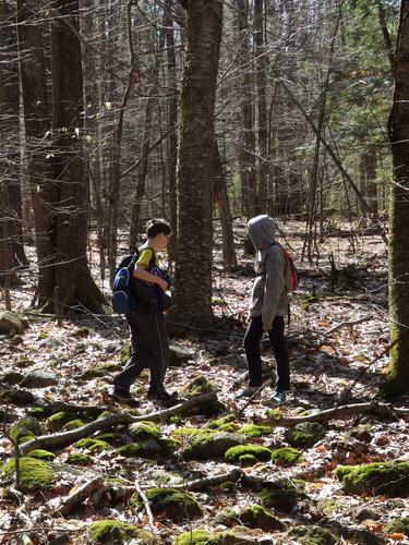 Ryzek and Carl in the woods on the way to Nats Mountain in southern New Hampshire