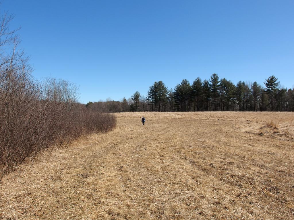 Andee hikes the meadow edge at Nissitissit Meadows in Pepperell, MA