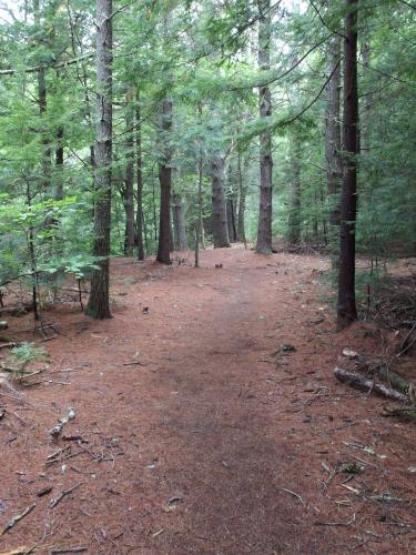 trail at North River Preserve in southern New Hampshire