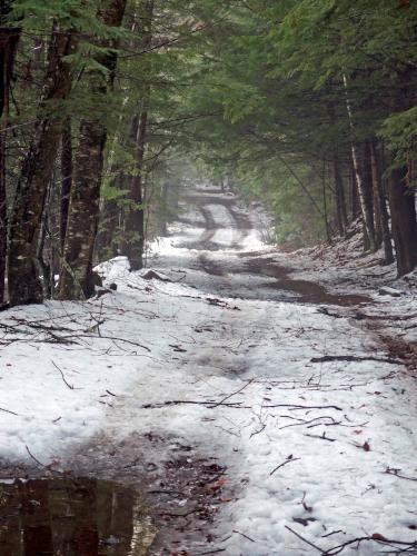 road in December at Nottingcook Forest near Bow in southern New Hampshire