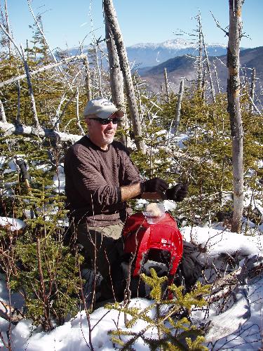 bushwhacker on Peak Above the Nubble Mountain in New Hampshire