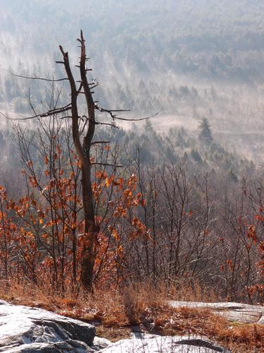 view of snow mist in the valley from the summit of Oak Hill in New Hampshire