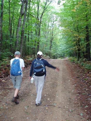 fire tower access road to Oak Hill in New Hampshire