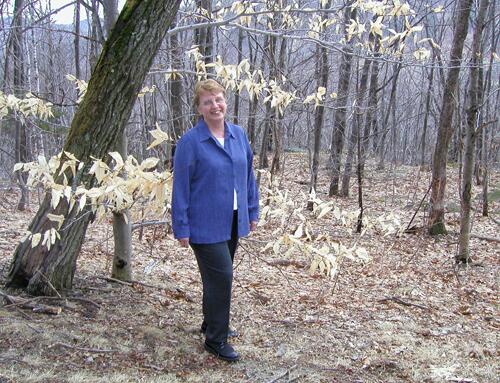 hiker and woods along the road to Pack Monadnock Mountain in New Hampshire