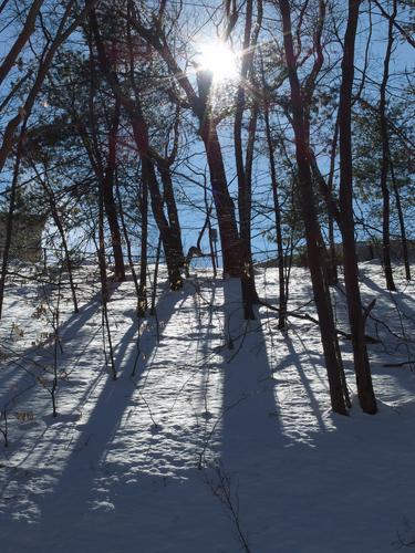 tree shadows in winter at Paint Mine Conservation Area at Lexington in Massachusetts