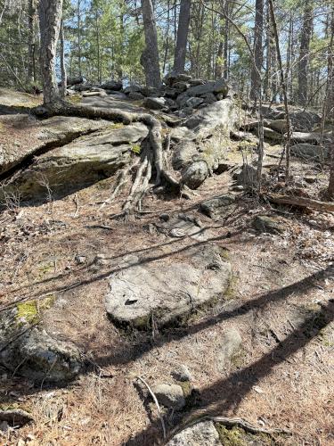 Drop-off Trail in April at Palmer-Bartell Forest in southern NH