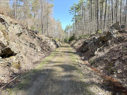 rail trail in April at Palmer-Bartell Forest in southern NH