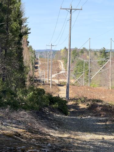 powerline swath view in April at Palmer-Bartell Forest in southern NH