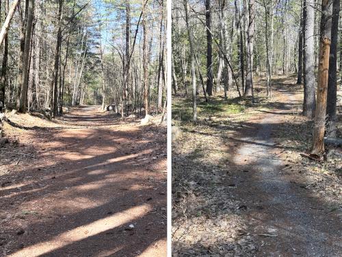 trails in April at Palmer-Bartell Forest in southern NH