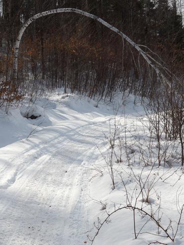 trail in winter to Parker Mountain in northern New Hampshire